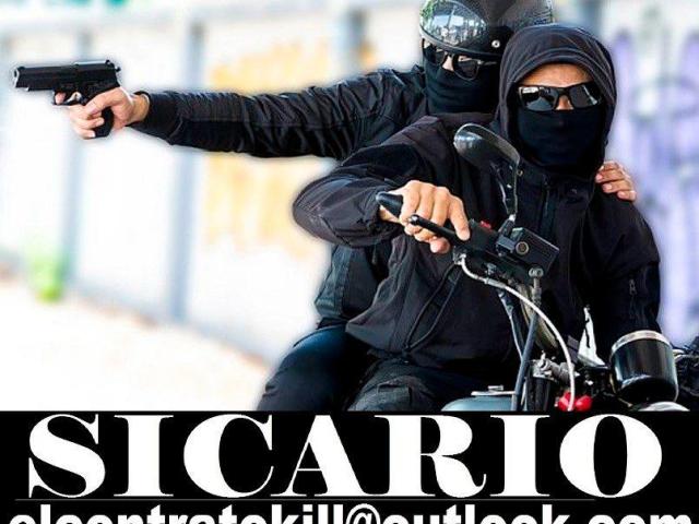51cario profesional 