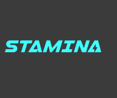 STAMINA Marketing Digital - Sobre nosotros