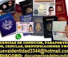 LICENCIAS DE CONDUCIR, DNI, PASAPORTES Y MAS