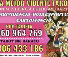 VIDENTE TAROTISTA BARATA CASI GRATIS LA MEJOR