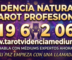 Tarot Fiable 919 60 20 69 Consulta