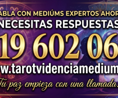 Consulta Inmediata 919 60 20 69