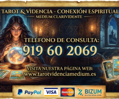 Tarot Económico 919 60 20 69