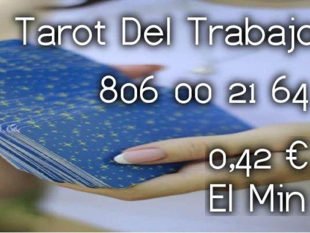 Tarot Visa Las 24 Horas  Económico 