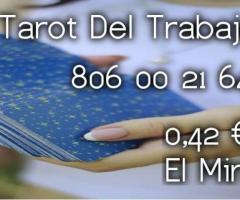 Tarot Visa Las 24 Horas  Económico 