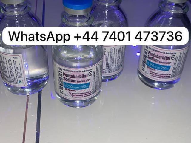 Nembutal Pentobarbital