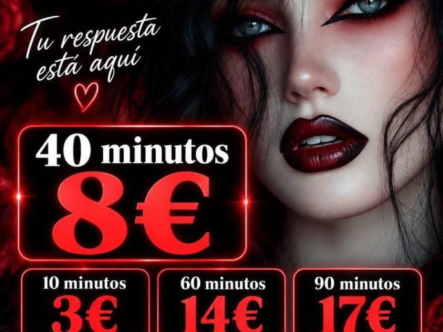consulta el tarot y reflexiona sobre tu camino